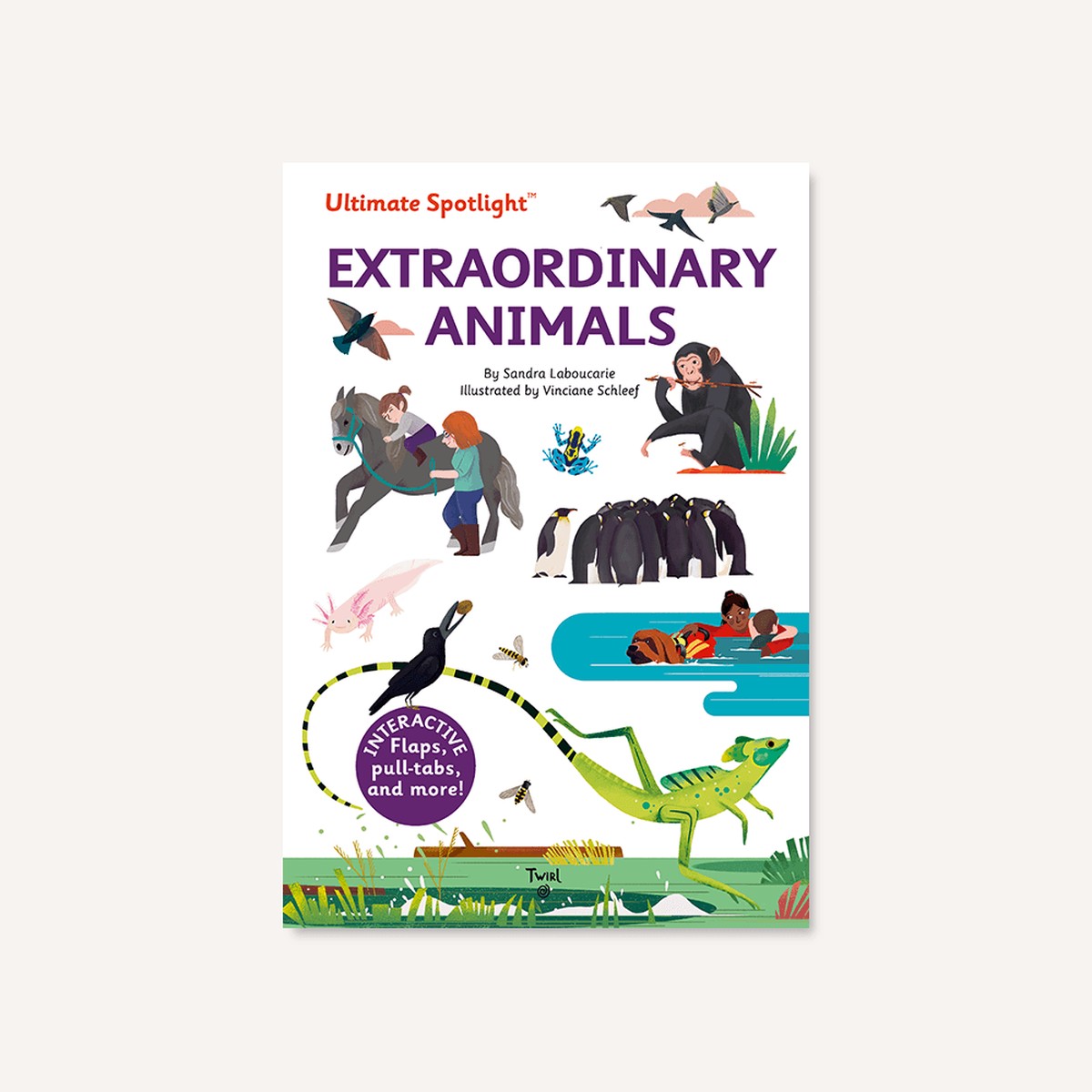 Ultimate Spotlight Extraordinary Animals